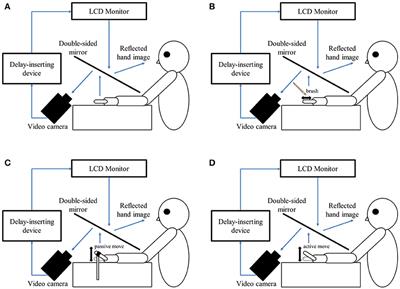 Distortion of Visuo-Motor Temporal Integration in Apraxia: Evidence From Delayed Visual Feedback Detection Tasks and Voxel-Based Lesion-Symptom Mapping